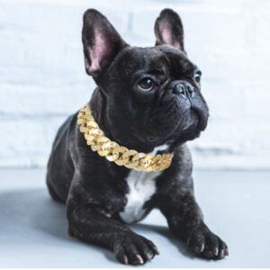 Collar de Bulldog Pequeño Mediano