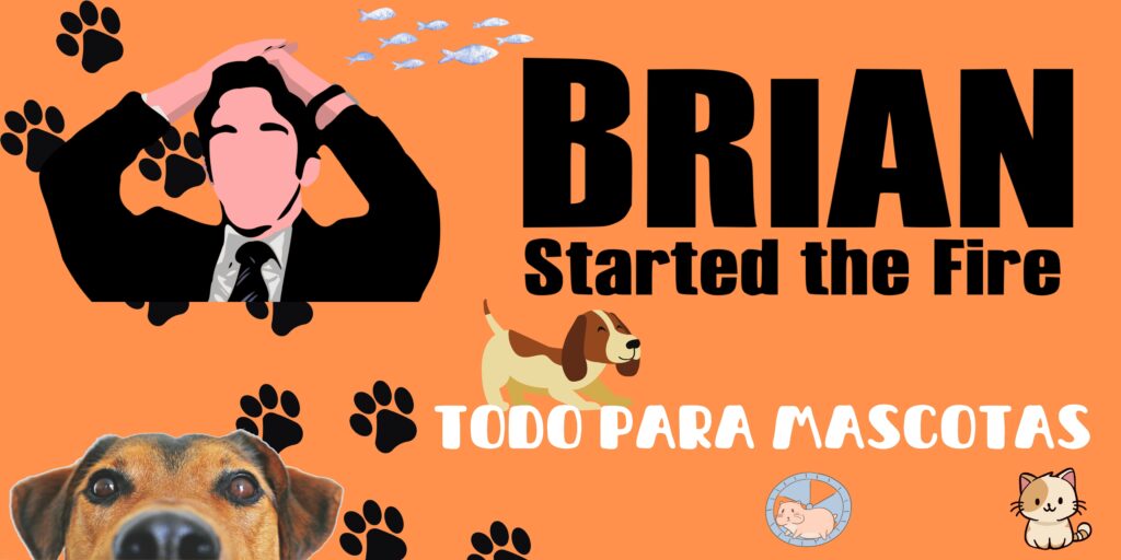 Banner BSTF Mascotas