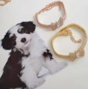 Collar con nudo de lazo para mascotas