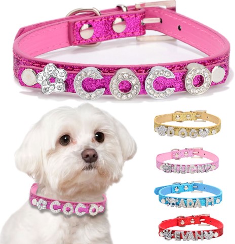 Collares ajustables personalizados de cuero para perro cuero