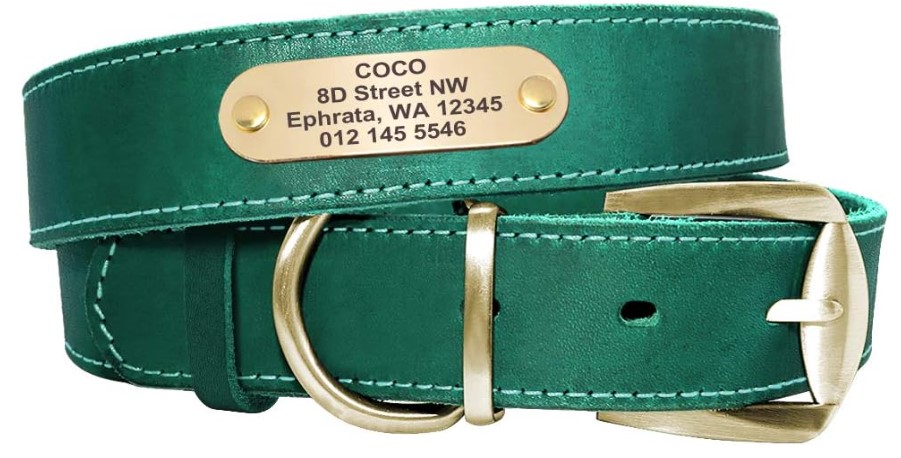 Didog Collares, Collar de Perro de Cuero Suave Personalizado con Etiqueta de identificación Personalizada