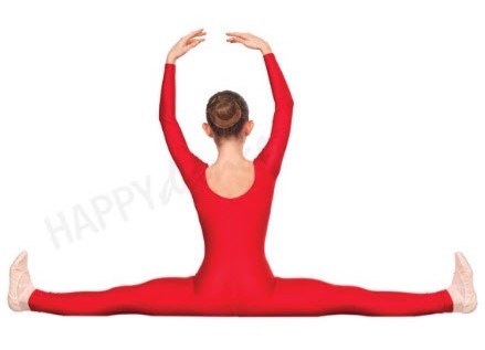 Entero Danza Manga Larga Happy Dance