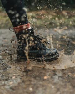 pexels-jack-redgate-333633-2929287