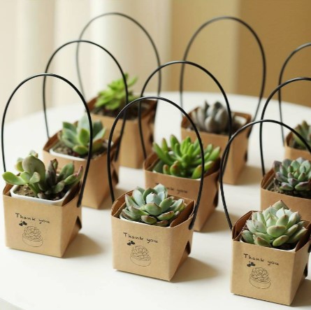 Bolsas de regalo de papel kraft para decoración de macetas para dar las Gracias