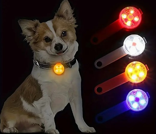 Collar para Perro con Luz LED Recargable de 1 Pieza