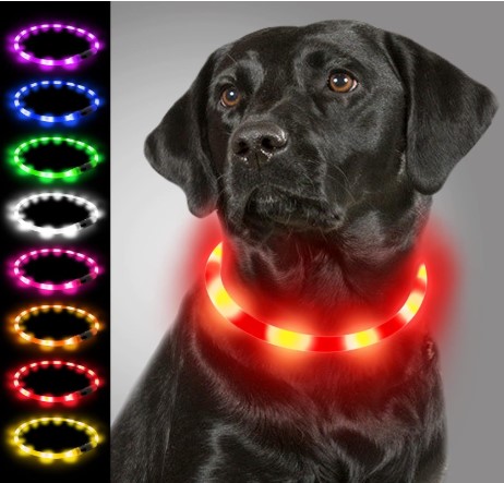 Joytale Collar Luminoso Perro, Collar para Mascotas LED Ajustables con Luz, Collares Recargable USB para Perros Pequeños, Medianos y Grandes